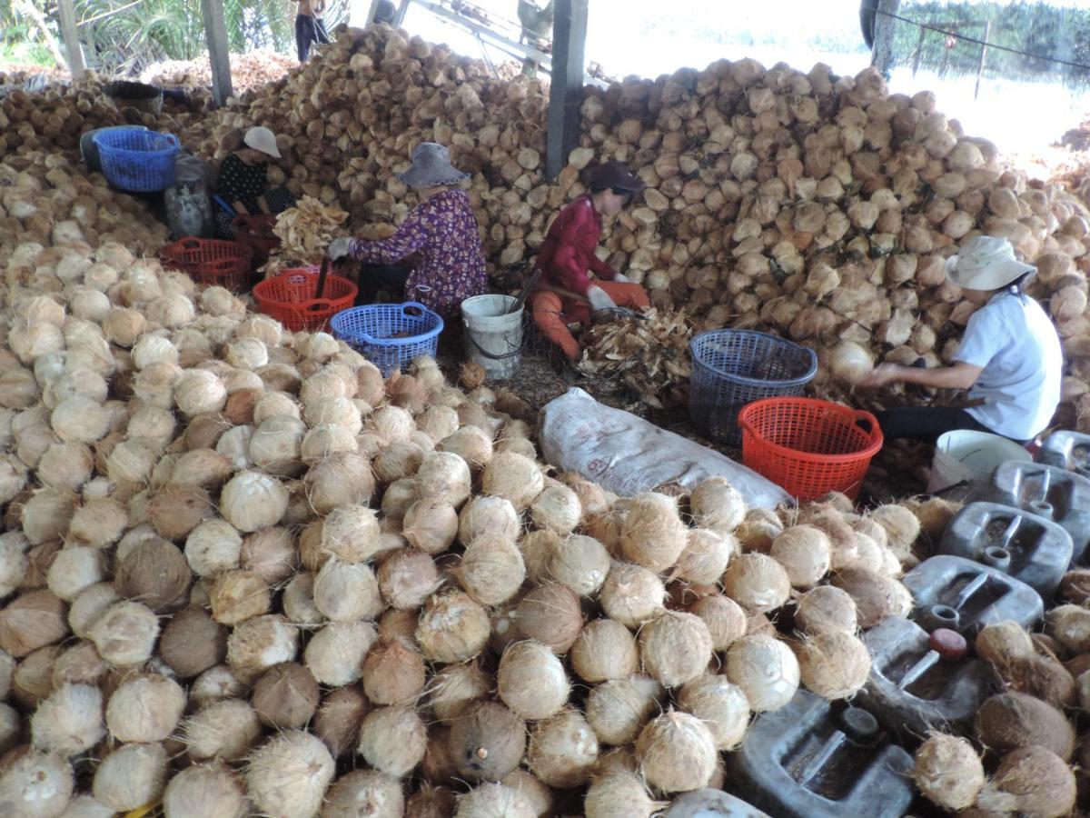 Ben Tre Farm Stay Exterior photo